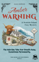 book cover for Amber Warning