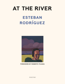 book cover for At the River