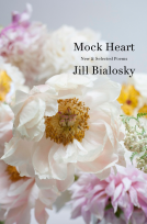 book cover for Mock Heart