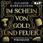 Buchcover für Im Schein von Gold und Feuer. Die verborgene Welt der Wikinger