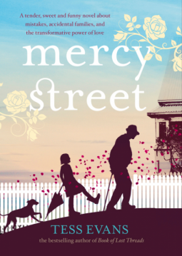 book cover for Mercy Street