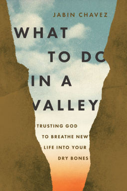 book cover for What to Do in a Valley