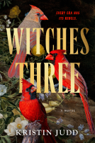 book cover for Witches Three