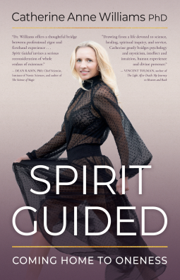 book cover for Spirit Guided