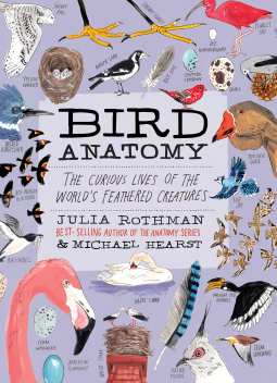 book cover for Bird Anatomy