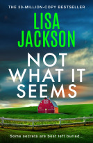 book cover for Not What It Seems