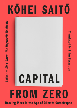 book cover for Capital From Zero