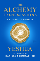 book cover for The Alchemy Transmissions