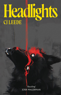book cover for Headlights