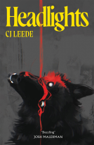 book cover for Headlights