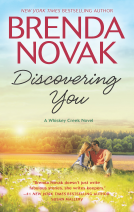 book cover for Discovering You