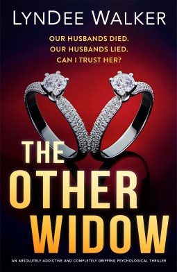 book cover for The Other Widow
