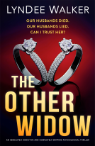 book cover for The Other Widow