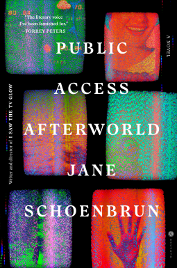 book cover for Public Access Afterworld