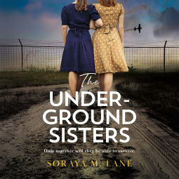 book cover for The Underground Sisters