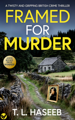 book cover for Framed For Murder