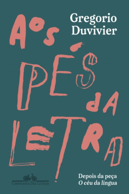book cover for Aos pés da letra