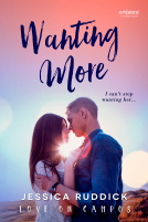 book cover for Wanting More