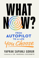 book cover for What Now?