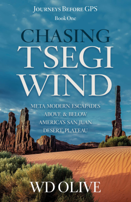 book cover for Chasing Tsegi Wind
