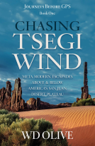 book cover for Chasing Tsegi Wind