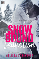 book cover for Snowbound Seduction (Novella)