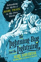 book cover for The Lightning-Bug and the Lightning