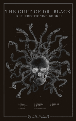 book cover for The Cult of Dr. Black