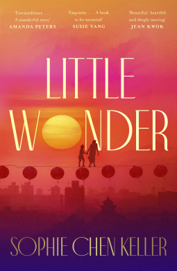 book cover for Little Wonder