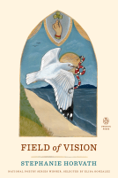 book cover for Field of Vision