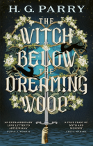 book cover for The Witch Below the Dreaming Wood