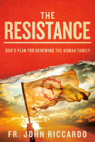 book cover for The Resistance