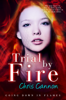 book cover for Trial by Fire (Going Down in Flames, #3)