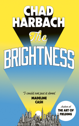 book cover for The Brightness