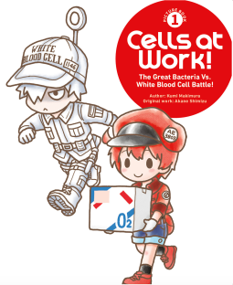book cover for Cells at Work! Picture Book 1: The Great Bacteria Vs. White Blood Cell Battle!