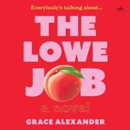 book cover for The Lowe Job