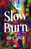book cover for Slow Burn