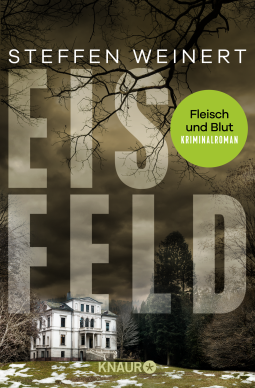Buchcover für Eisfeld - Fleisch und Blut