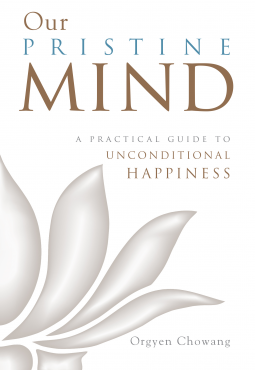 book cover for Our Pristine Mind