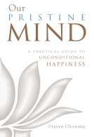 book cover for Our Pristine Mind