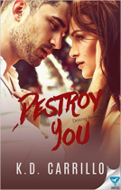 book cover for Destroy You