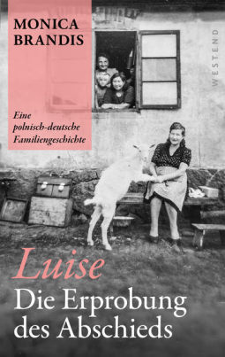 Buchcover für Luise. Die Erprobung des Abschieds