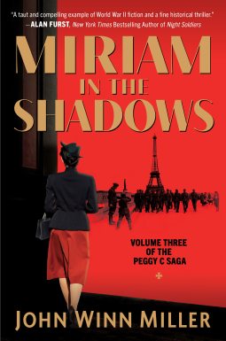 book cover for Miriam in the Shadows