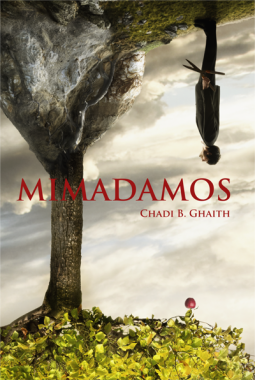 book cover for Mimadamos