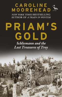 book cover for Priam’s Gold