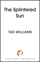 book cover for The Splintered Sun
