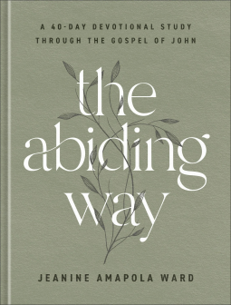 book cover for The Abiding Way