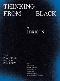 book cover for Thinking From Black: A Lexicon