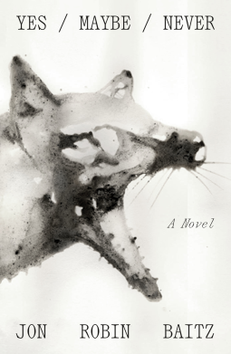book cover for Yes/Maybe/Never