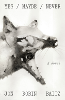 book cover for Yes/Maybe/Never